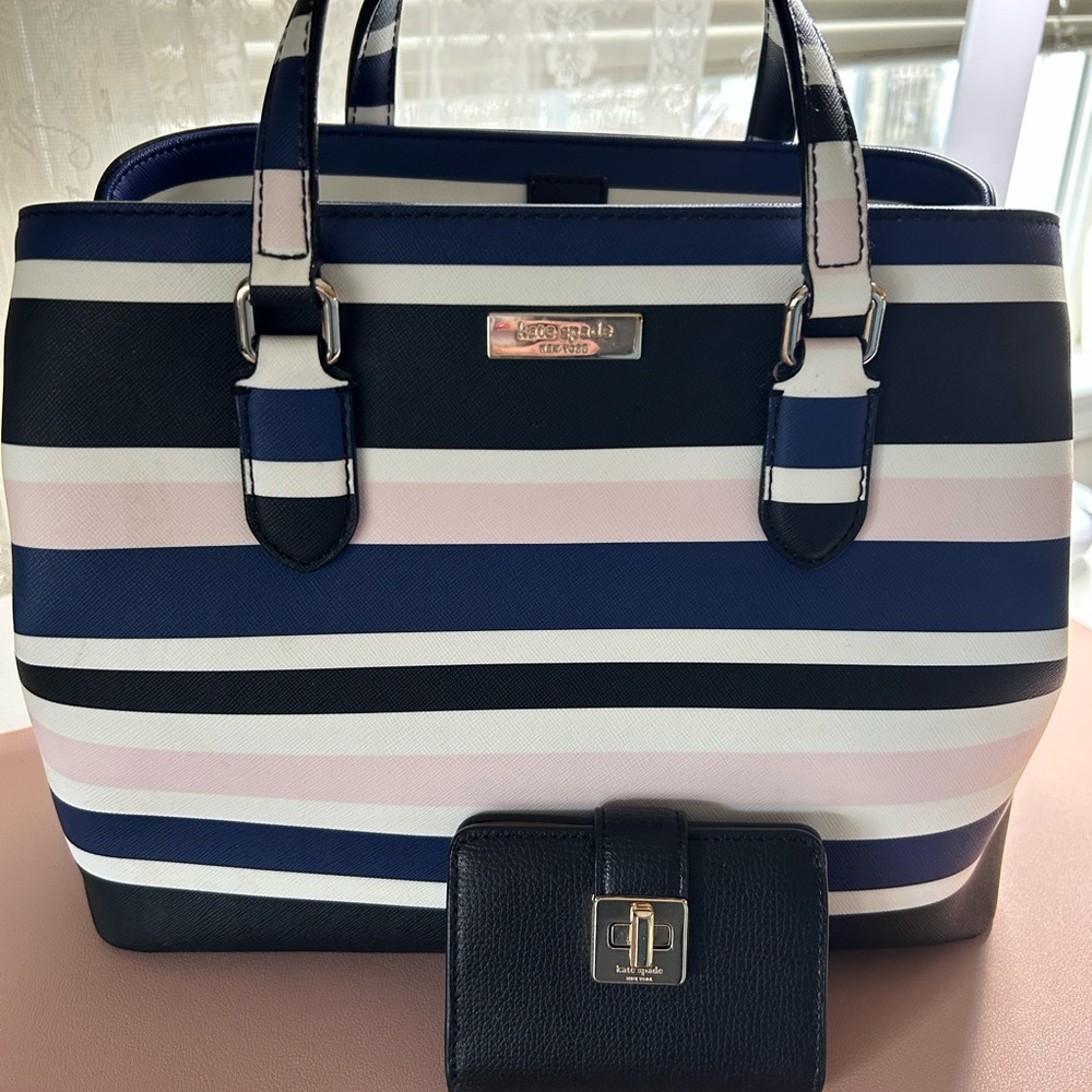 Kate Spade Blue and Pink Striped Satchel